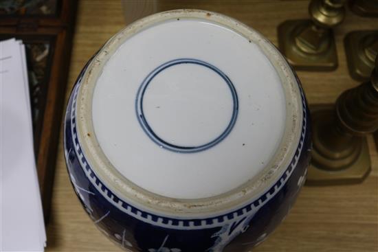 A Chinese large bulbous ginger jar and cover decorated prunus